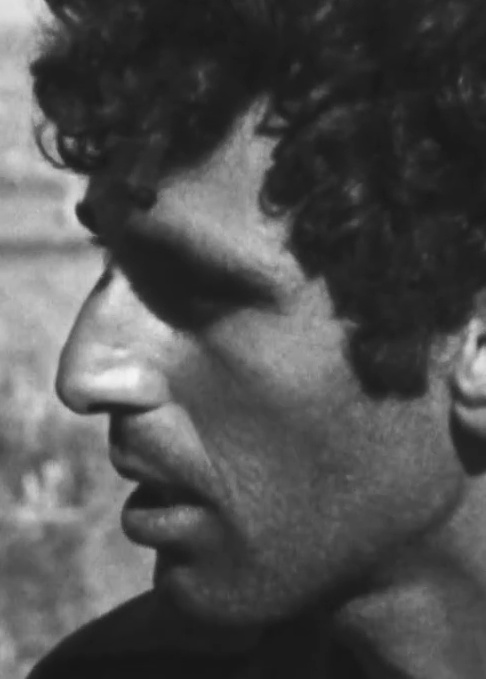 ציון זיו זלוף
