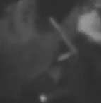 פנים לא מזוהות
